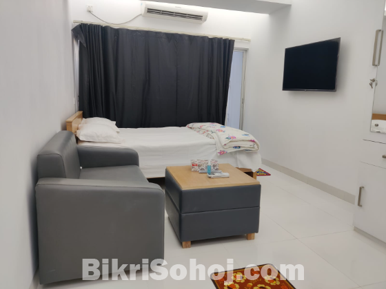 Fully Furnished Studio Apartment for Rent